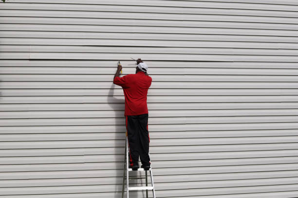 Best Historical Building Siding Restoration  in Rinna, VA