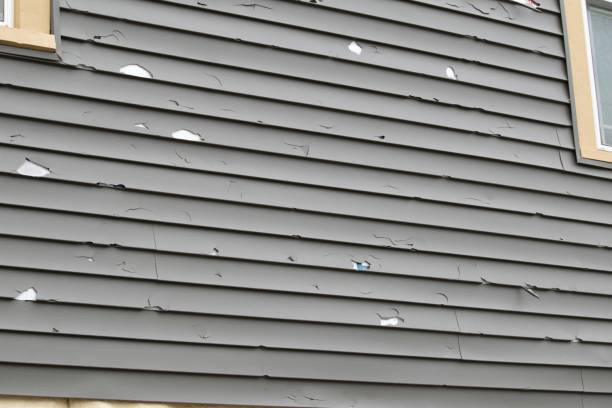 Custom Trim and Detailing for Siding in Rivanna, VA