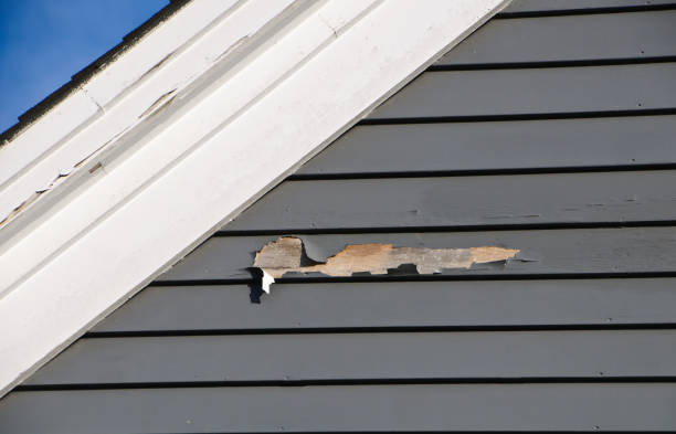 Best Storm Damage Siding Repair  in Rinna, VA